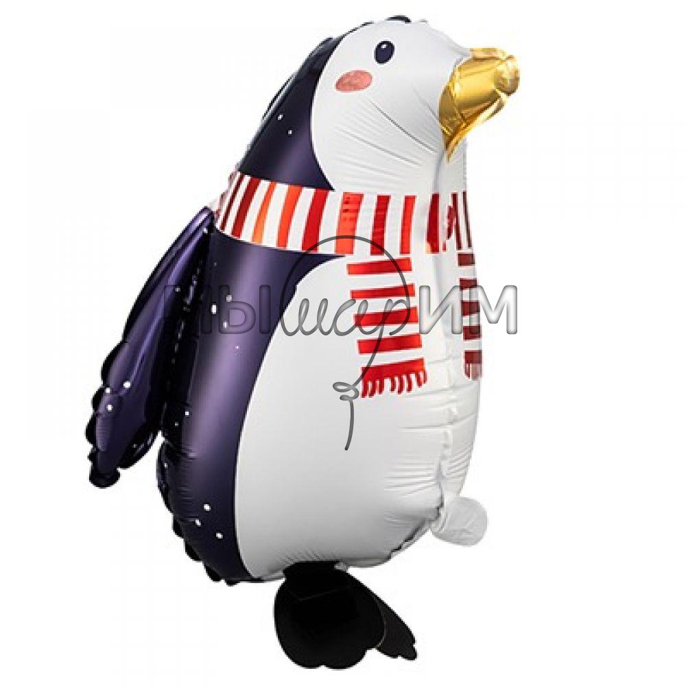 Ходячка пингвин с шарфом