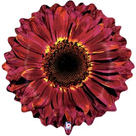Фольгированный шар Цветок Гербера бордовая