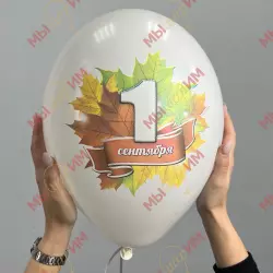 Воздушные шары с гелием на 1 сентября! Воздушные шары с рисунком